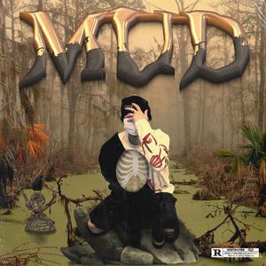 狗爷闯城中村 高清视频
