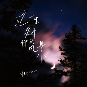 狗爷闯城中村 高清视频
